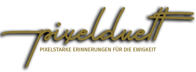 Logo von Pixelduett